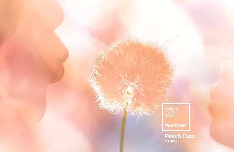 Peach Fuzz Elegance: Nail Art Adventures with the Pantone Color of the Year 2024