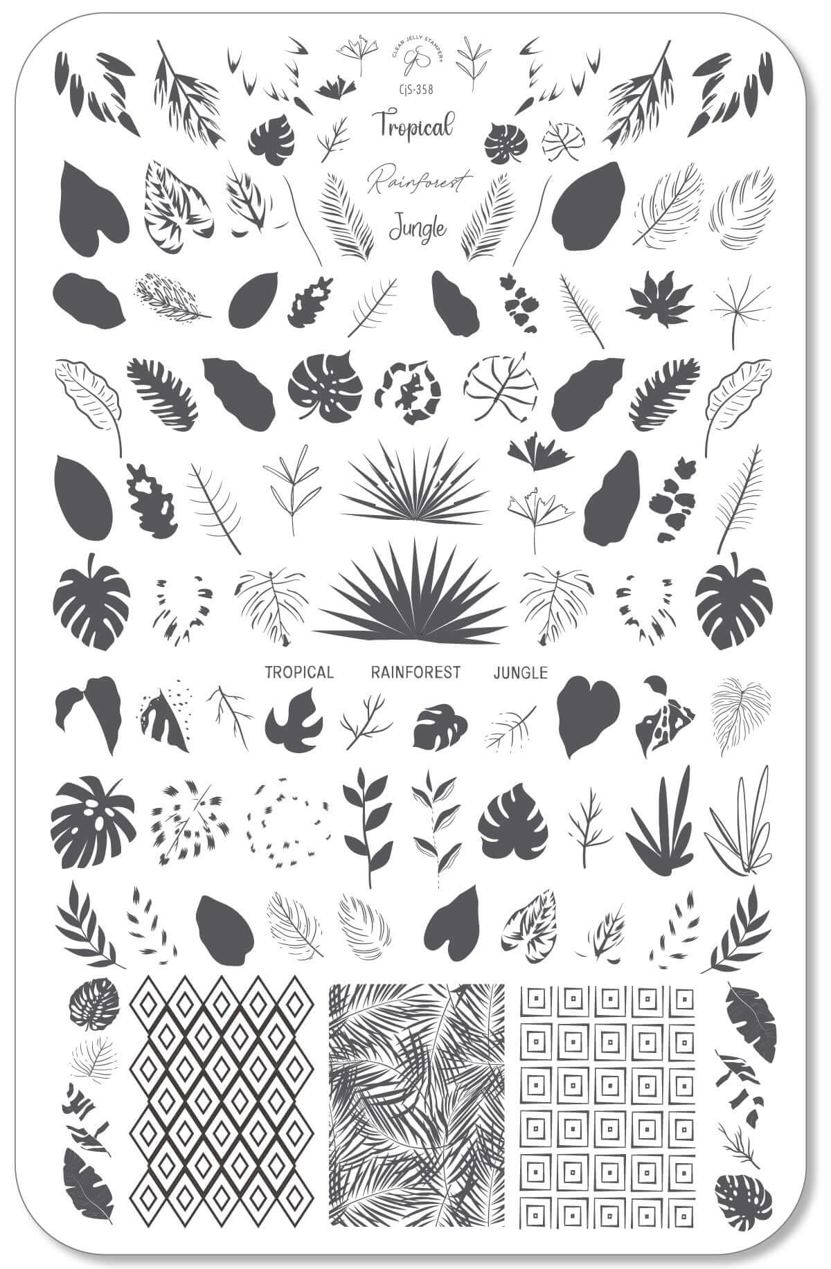 layered-nail-art-stamping-plate-showing-designs-of-tropical-leaves-and-words-for-nail-art