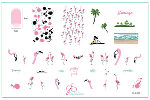 layered-nail-art-stamping-plate-inspo-card-with-colorful-flamingos-palm-trees-and-beach-scenes