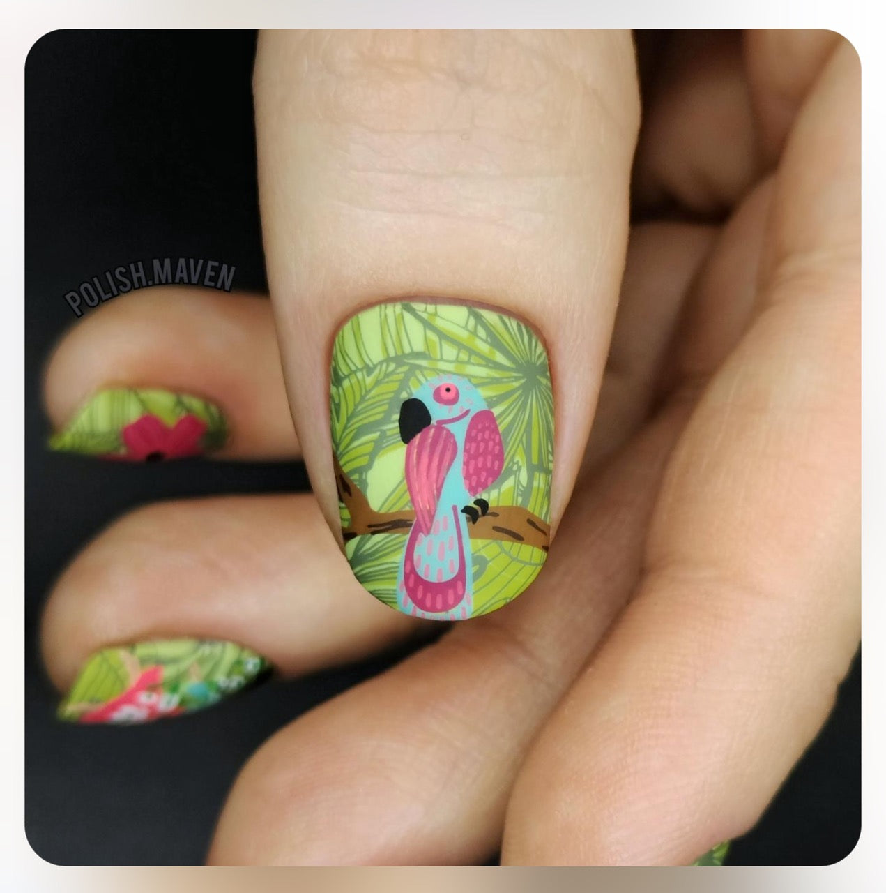 manicured-thumb-nail-showing-a-layered-nail-art-design-of-a-tropical-bird-on-a-branch