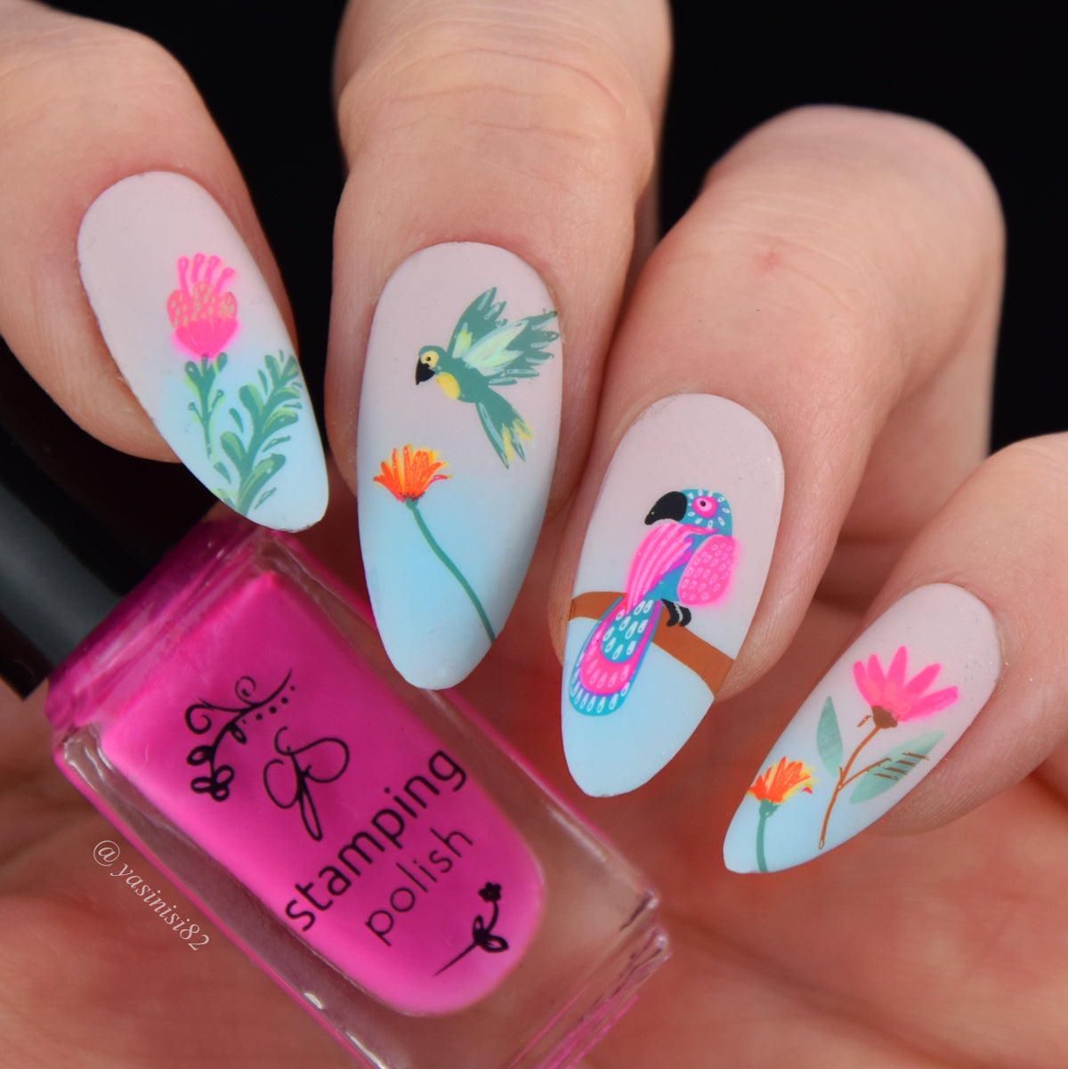 bright-manicure-showing-nail-art-designs-of-tropical-birds