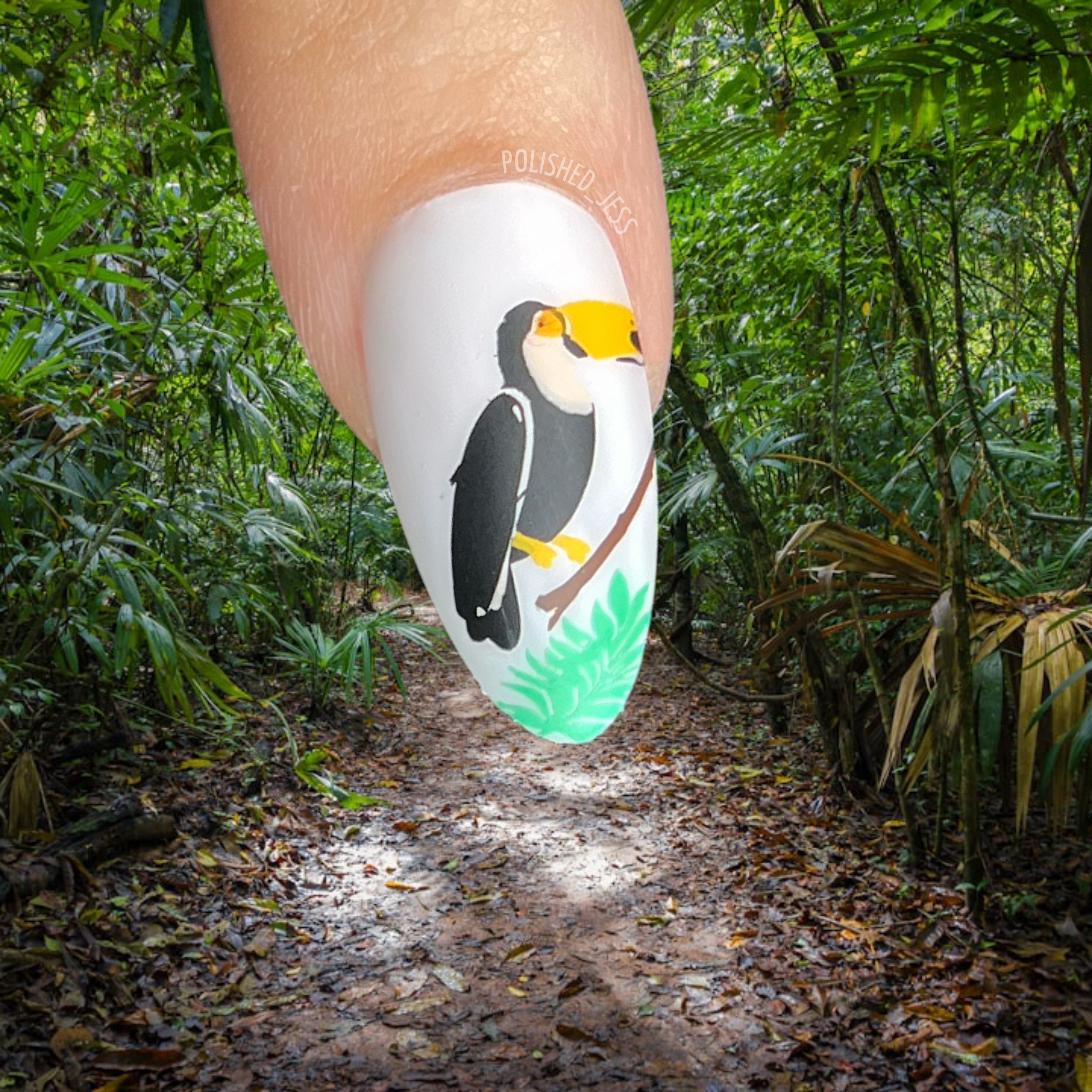 single-manicured-nail-showing-a-layered-nail-art-design-of-a-toucan