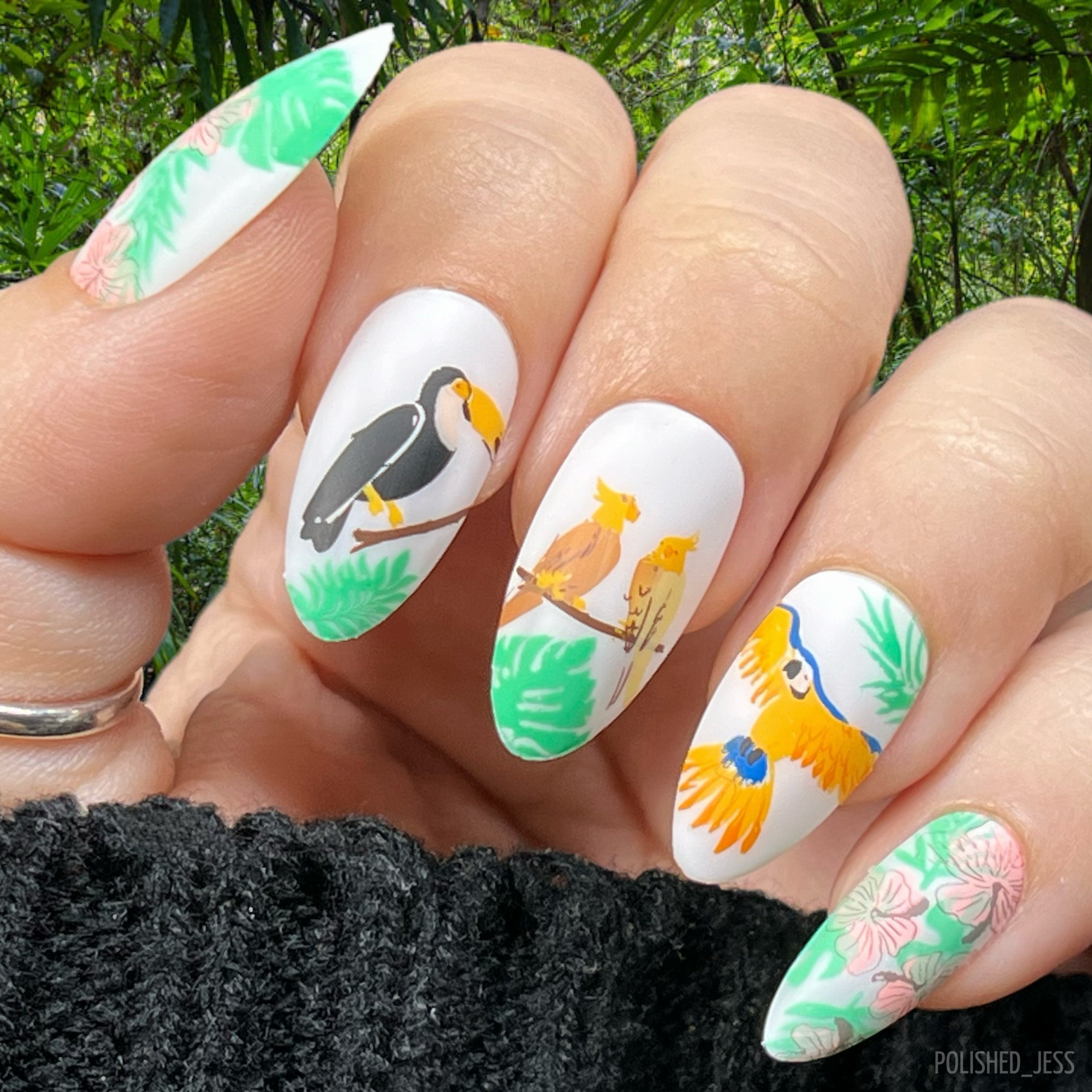 Beautiful-manicure-showing-nail-art-designs-of-tropical-birds