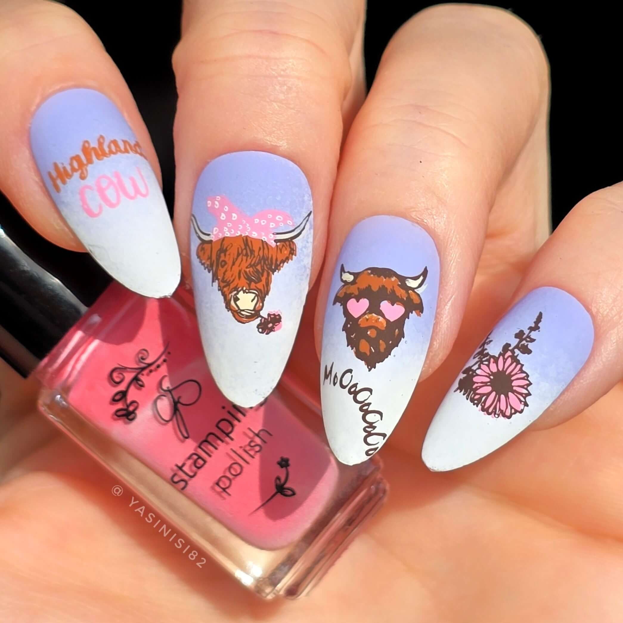 Beautfiul-nail-art-manicure-with-designs-of-highland-cows-a-sunflower-and-the-words-mooo