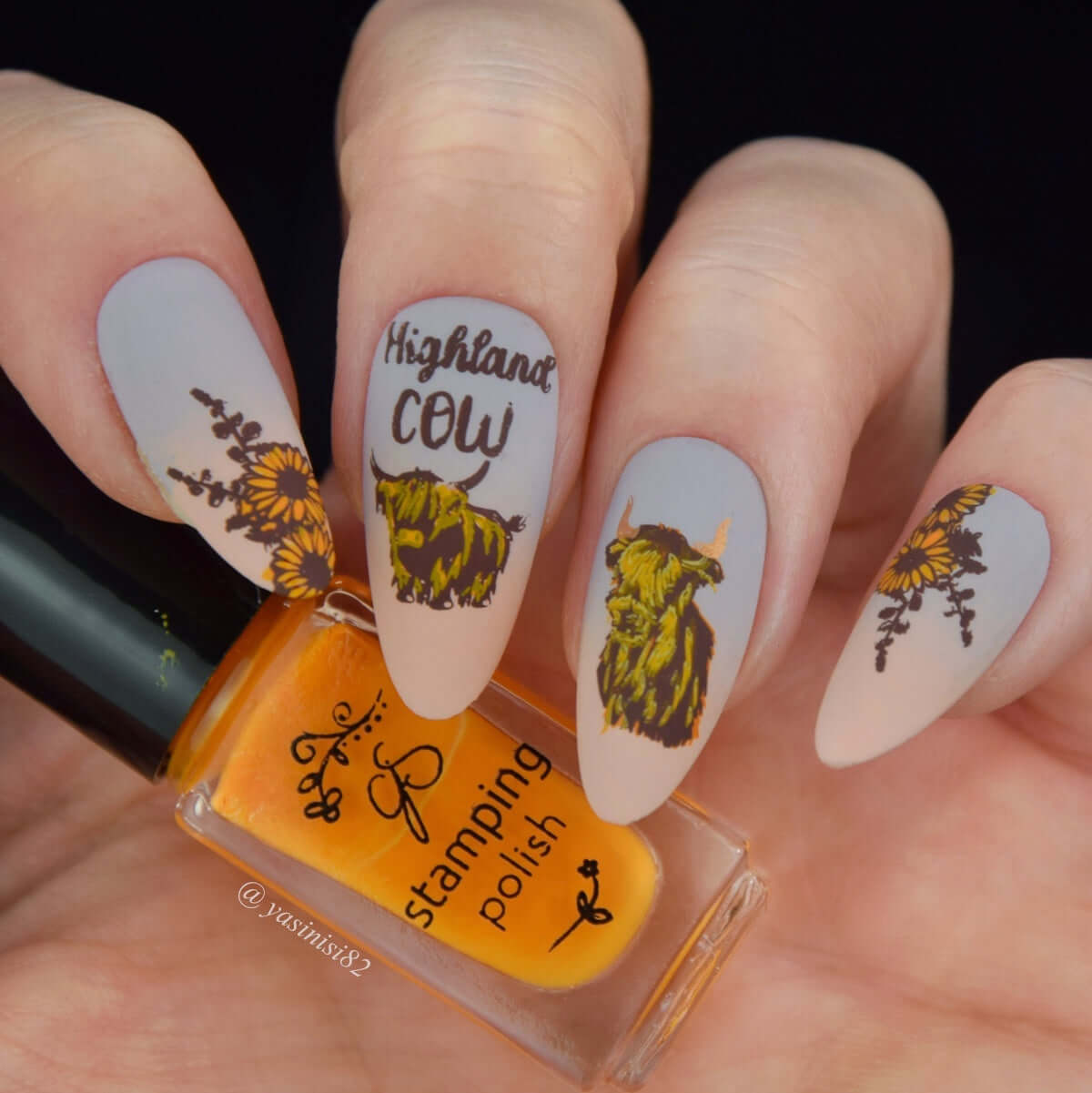 Nail-art-designs-of-highland-cows-and-sunflowers