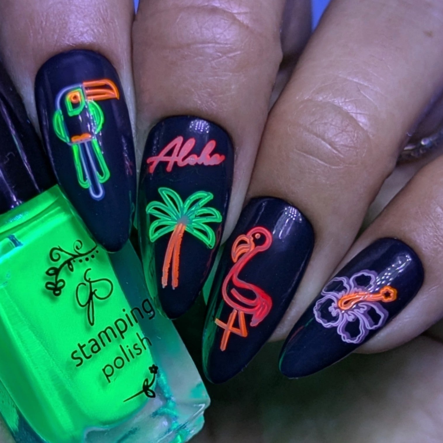 matte-manicure-showing-neon-sign-style-nail-art-designs-of-a-flamingo-parrot-and-palm tree-glow-in-the-dark-polish