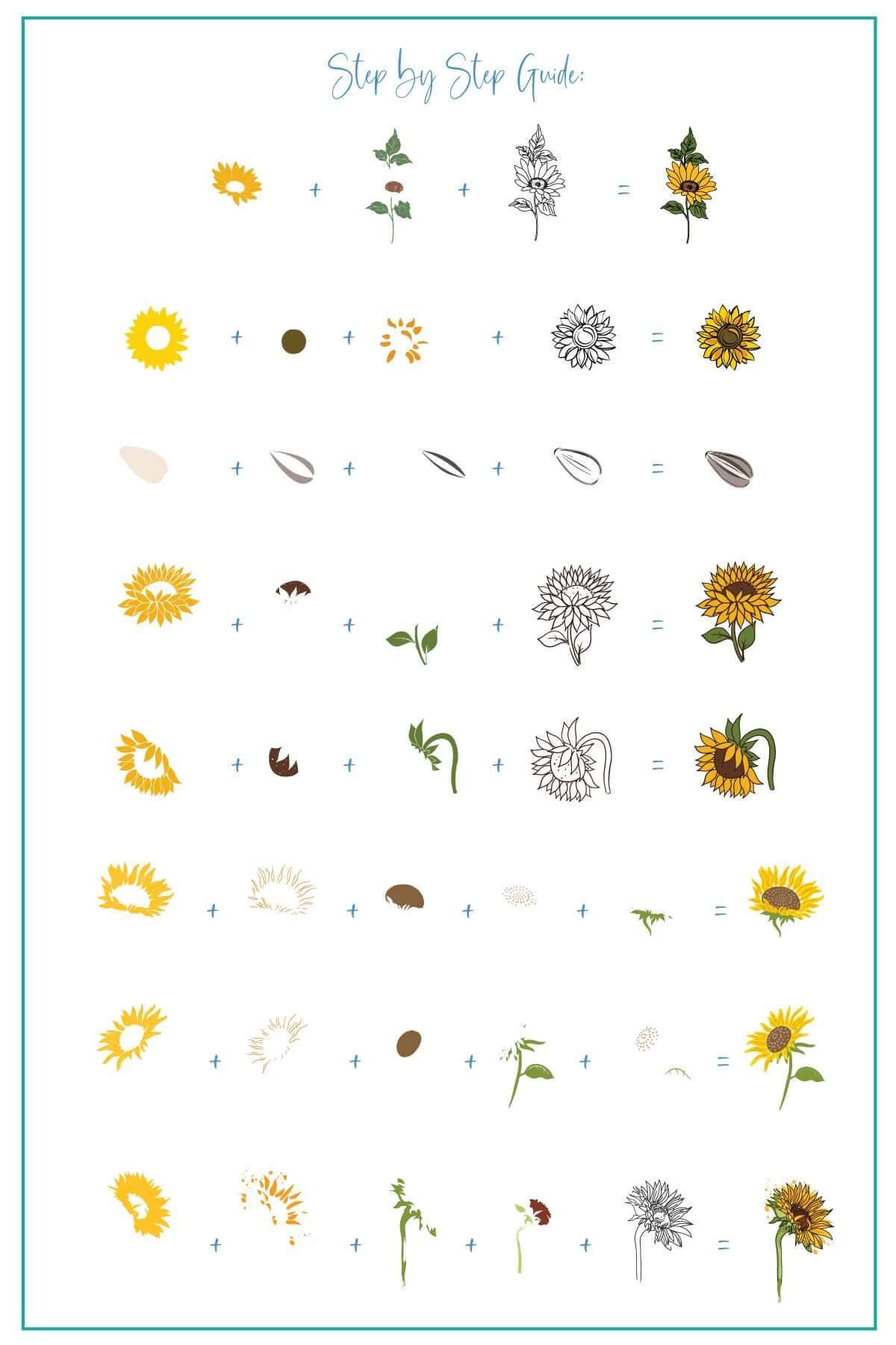 layered-nail-art-stamping-plate-how-to-card-with-colorful-designs-of-sunflowers-and-sunflower-seeds