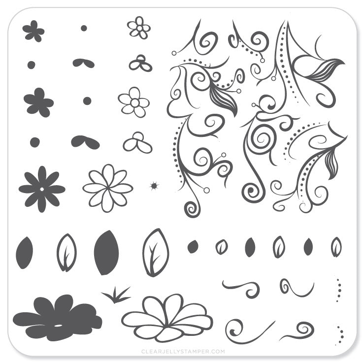 Floral Swirl 2 (CjS-14) - Steel Nail Art Stamping Plate 6x6 Clear Jelly Stamper 