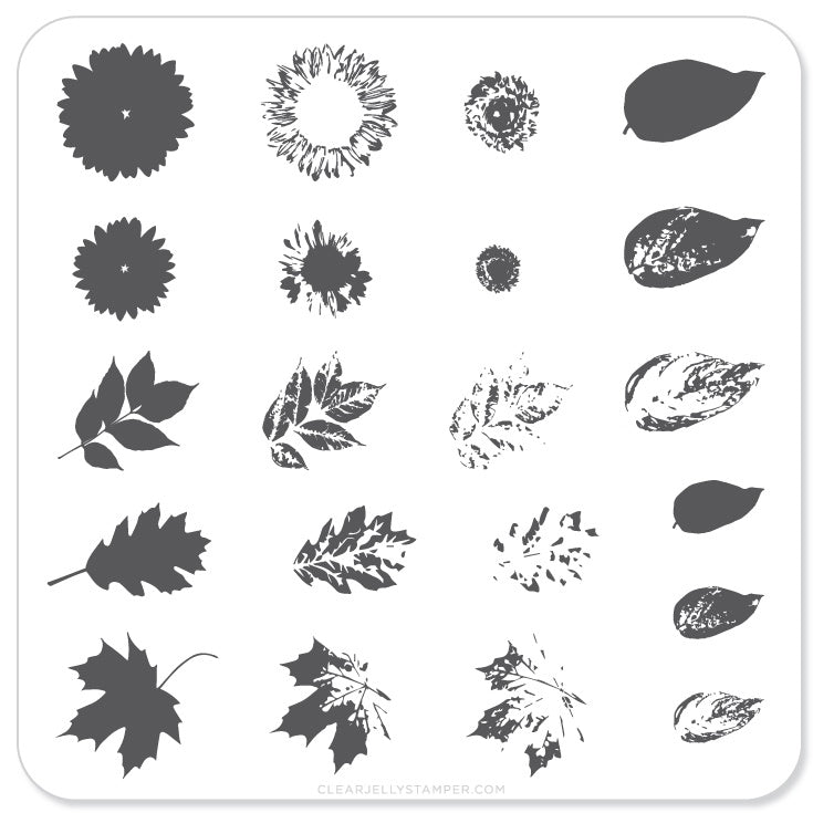 Sunflower and Leaves (CjS-26) - Steel Nail Art Stamping Plate 6x6 Clear Jelly Stamper 