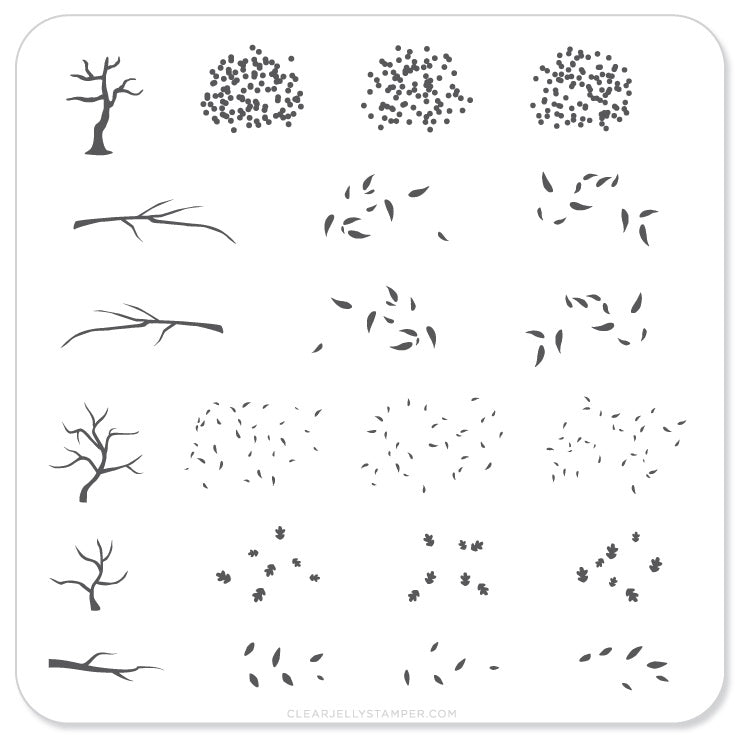 Trees Trees Trees (CjS-27) - Steel Nail Art Stamping Plate 6x6 Clear Jelly Stamper 