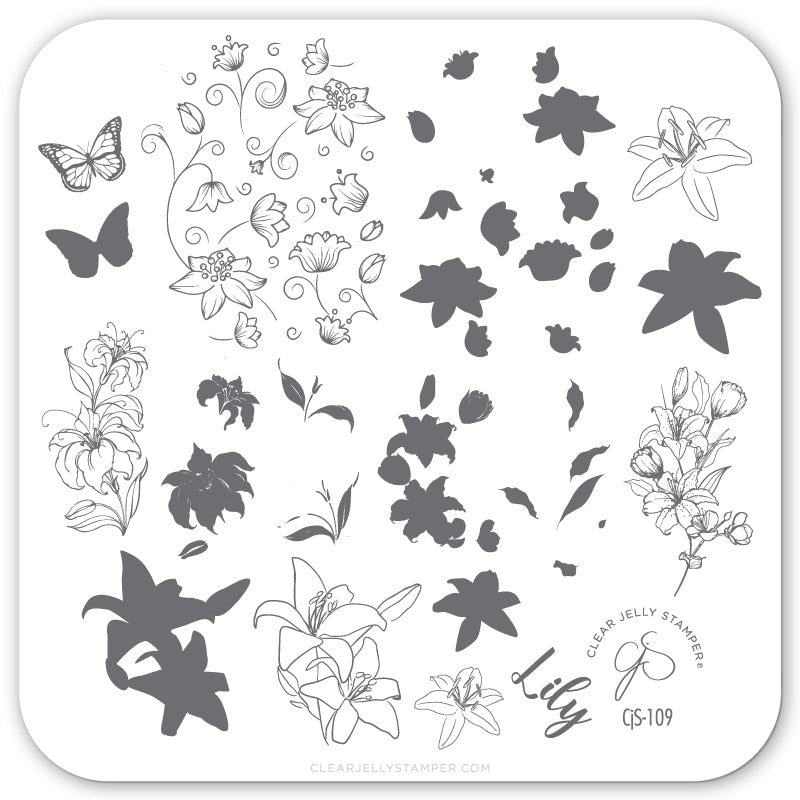 Lovely Lilies (CjS-109) Steel Nail Art Stamping Plate 6x6 Clear Jelly Stamper 