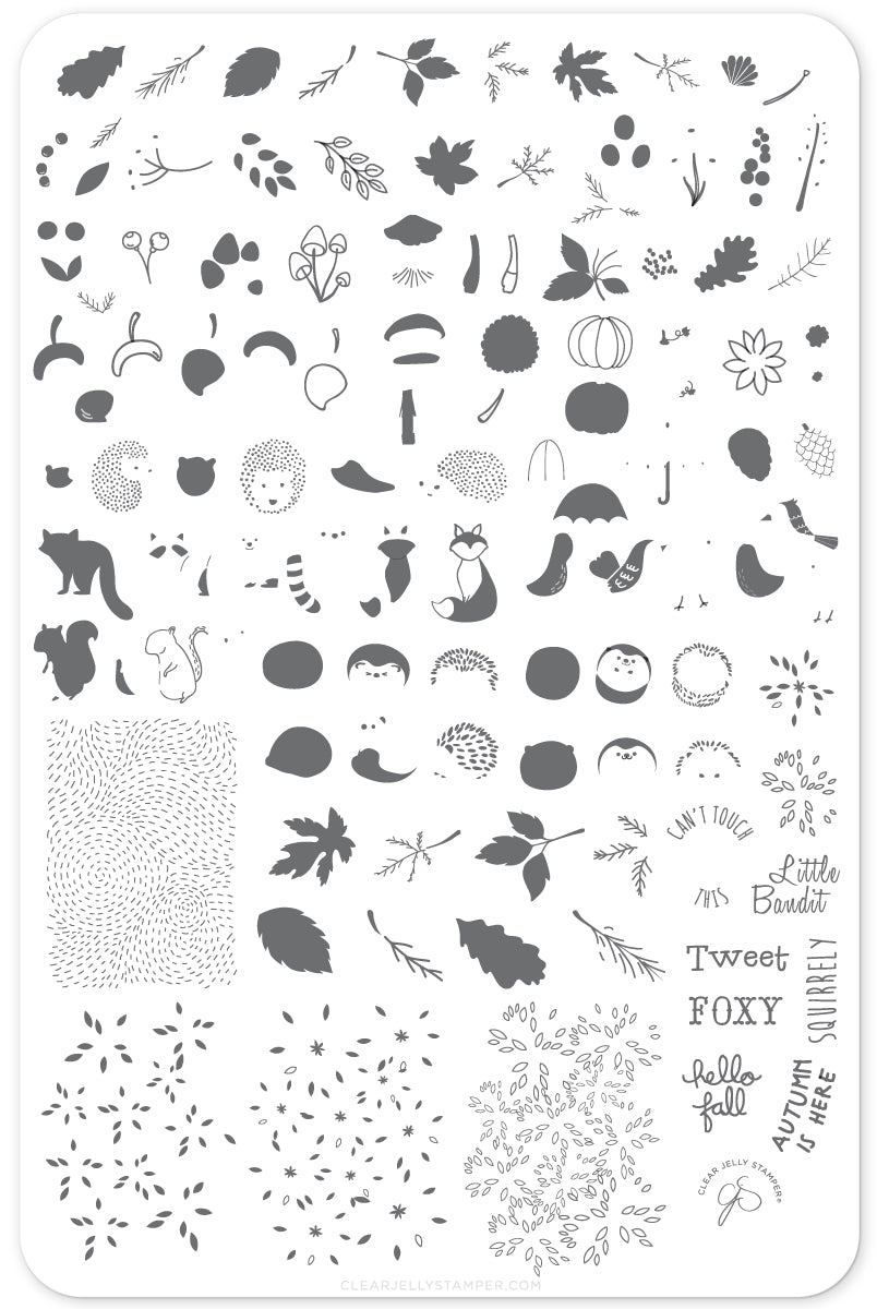 Autumn is Here! (CjS-135) Steel Nail Art Stamping Plate 14 x 9 Clear Jelly Stamper 