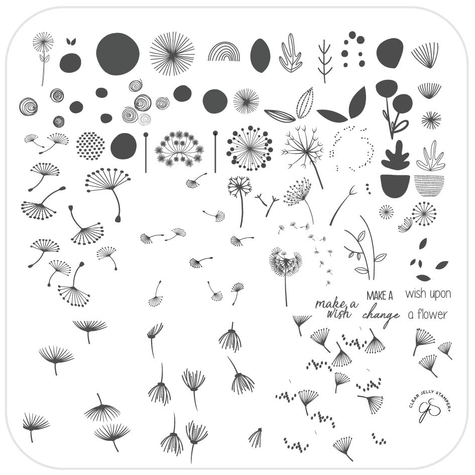 Wish Upon a Flower (CjS-155) Steel Stamping Plate 8 x 8 Clear Jelly Stamper 