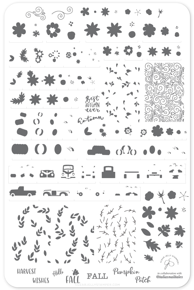Talias Pumpkin Patch (CjS LC-57) Steel Stamping Plate 14 x 9 Clear Jelly Stamper 