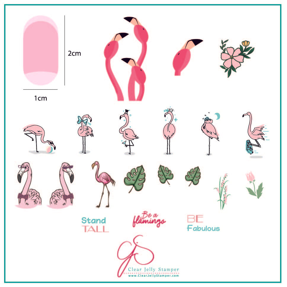 Lil Flamingo (CjS-93) Steel Nail Art Stamping Plate 8 x 8 Clear Jelly Stamper Plate 