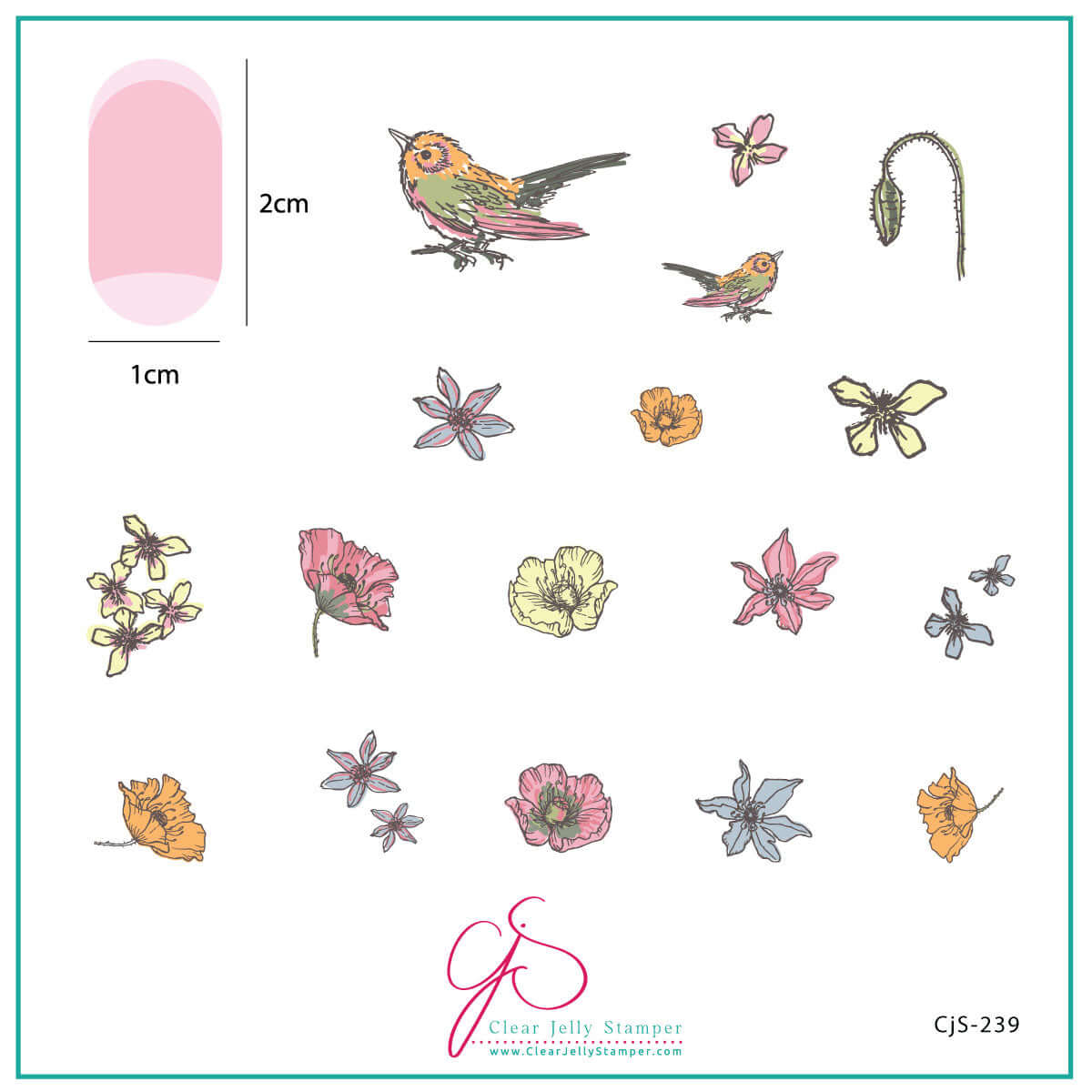 layered-nail-art-stamping-plate-inspo-card-with-colorful-dainty-designs-of-hummingbirds-and-flowers