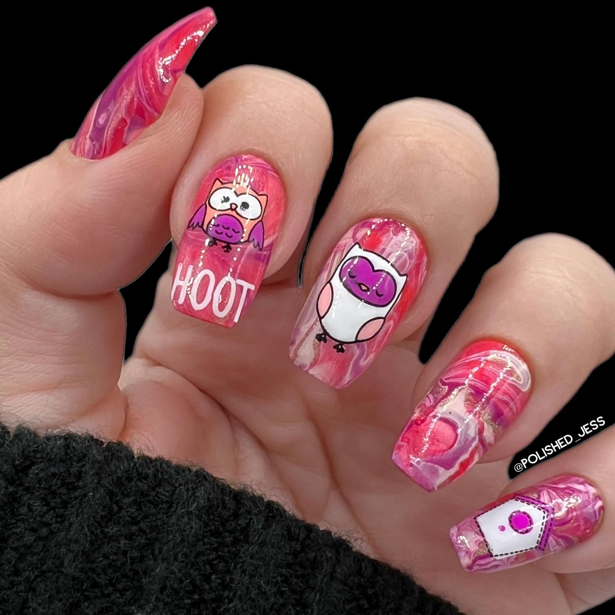 beautiful-manicure-showing-nail-art-designs-of-owls-and-a-bird-house-with-the-words-hoot