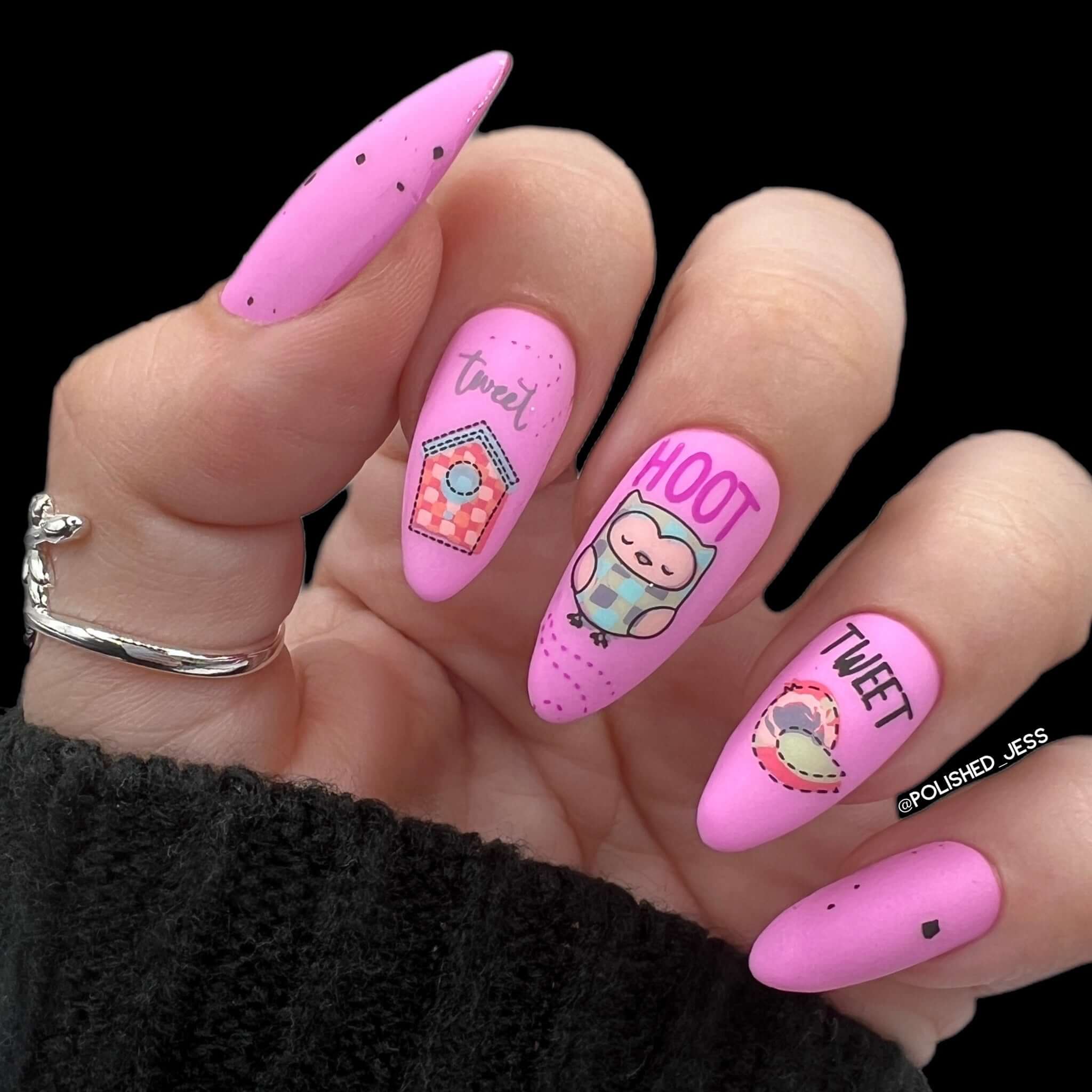 beautiful-matte-manicure-showing-nail-art-designs-of-owls-and-a-bird-house-with-the-words-hoot