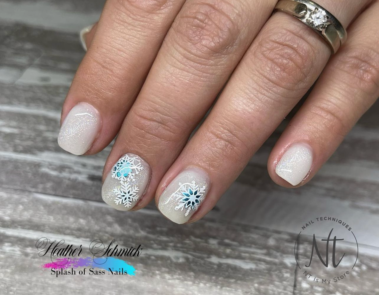 In the Frosty Air (CjSC-24) Steel Nail Art Stamping Plate