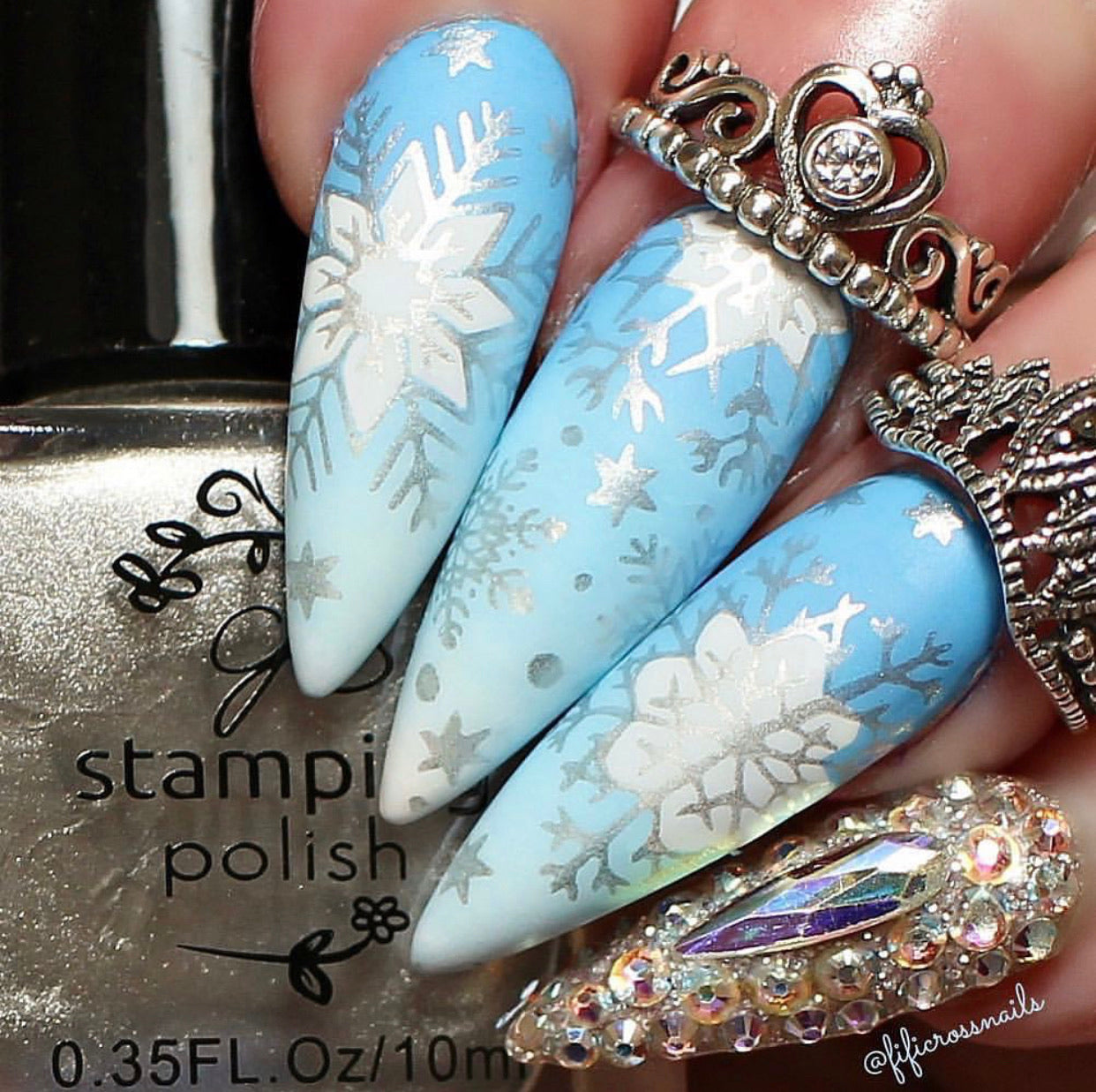 In the Frosty Air (CjS C-24) Steel Nail Art Stamping Plate 14 x 9 Clear Jelly Stamper 